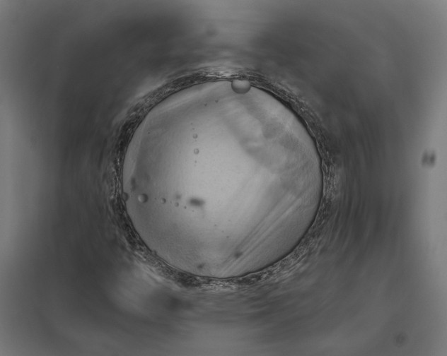 X0000097831446200803281149