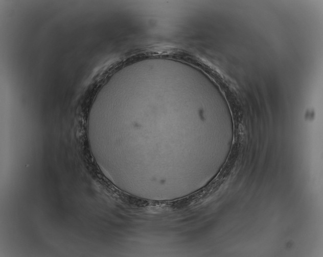 X0000097831447200803281149