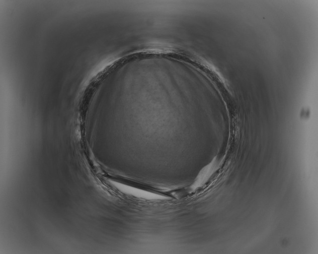 X0000097831448200803281149