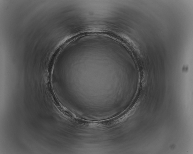 X0000097831449200803281149