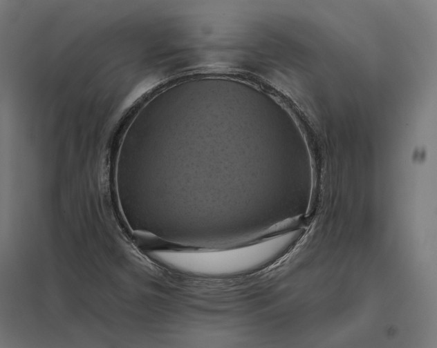 X0000097831450200803281149