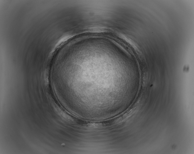 X0000097831451200803281149