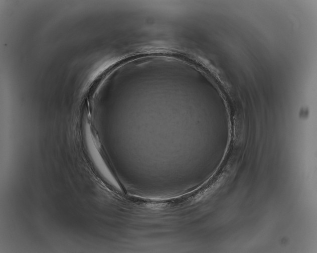 X0000097831453200803281149