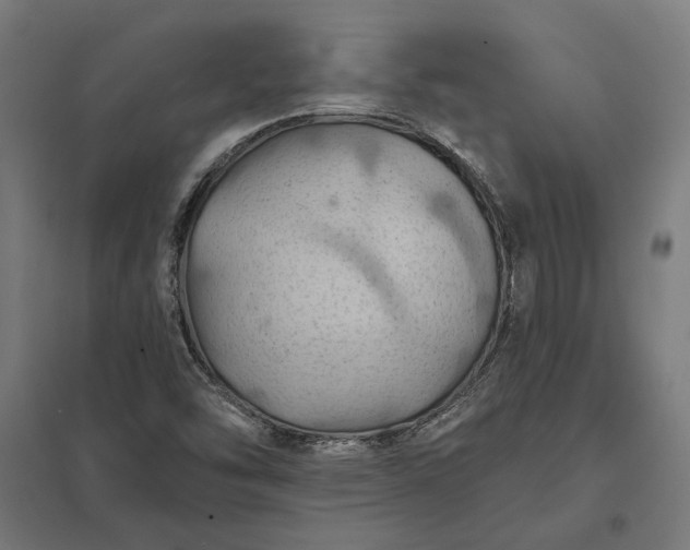 X0000097831454200803281149