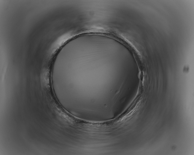 X0000097831455200803281149