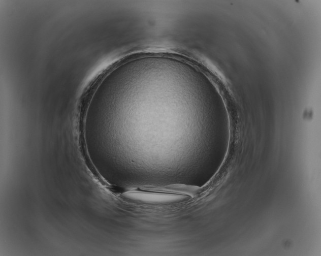 X0000097831456200803281149