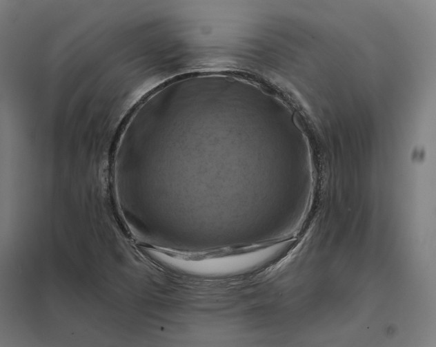 X0000097831457200803281149