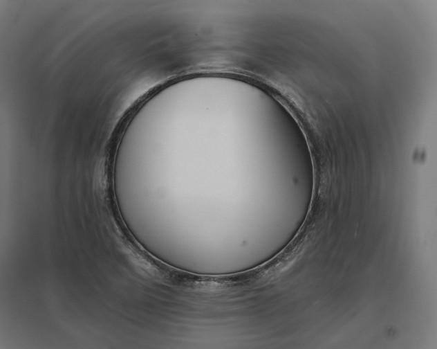 X0000097831458200803281149