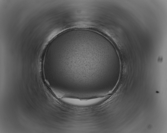 X0000097831459200803281149