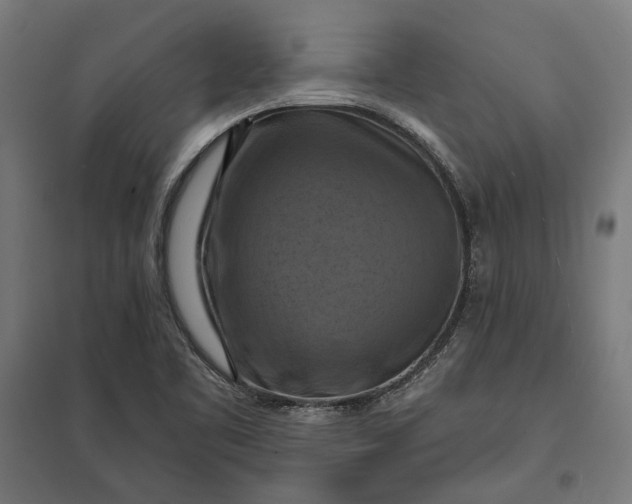 X0000097831461200803281149