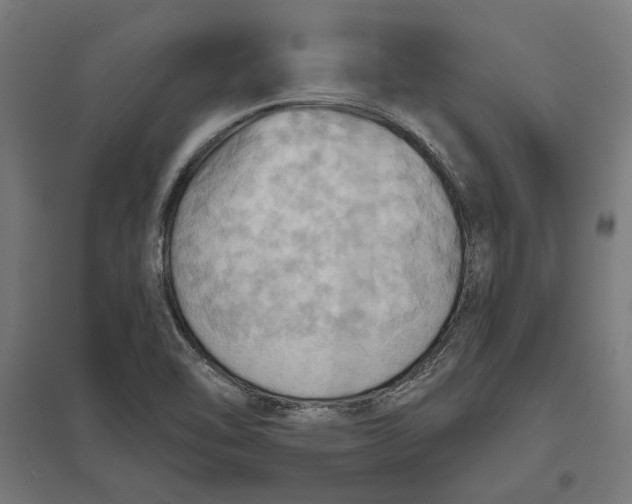 X0000097831462200803281149