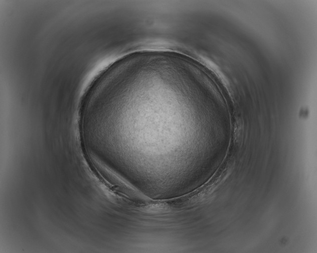 X0000097831464200803281149