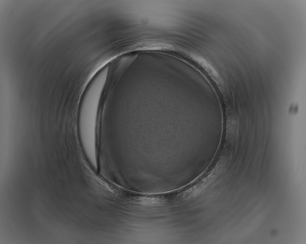 X0000097831465200803281149