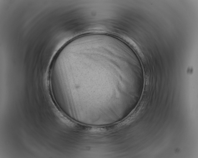 X0000097831466200803281149