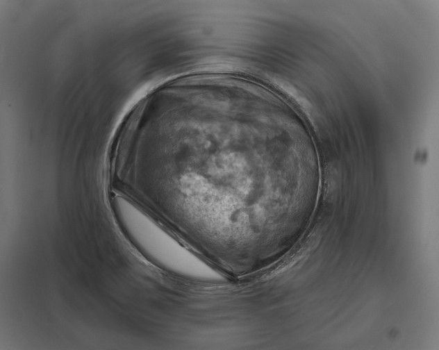 X0000097831467200803281149