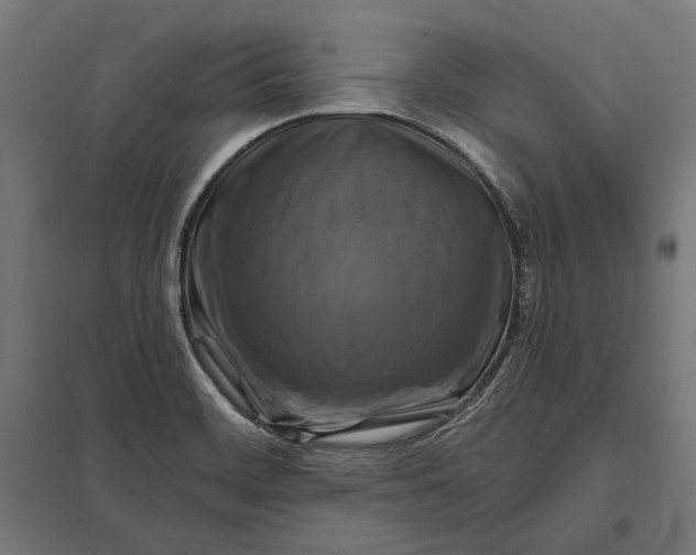 X0000097831468200803281149