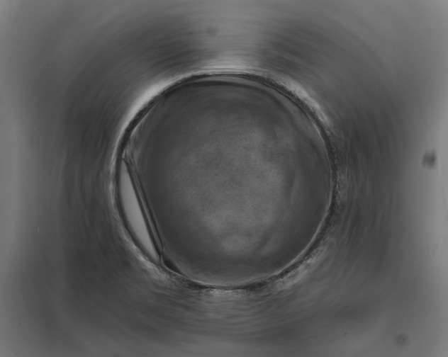 X0000097831469200803281149