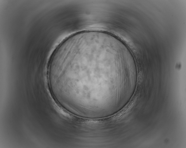 X0000097831470200803281149