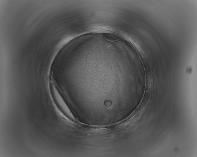 X0000097831471200803281149