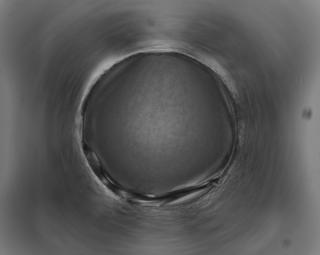 X0000097831472200803281149