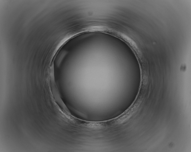 X0000097831473200803281149