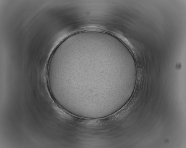 X0000097831474200803281149