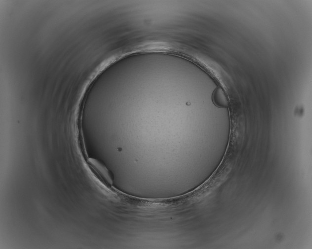 X0000097831475200803281149