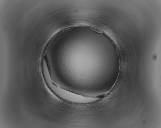 X0000097831476200803281149