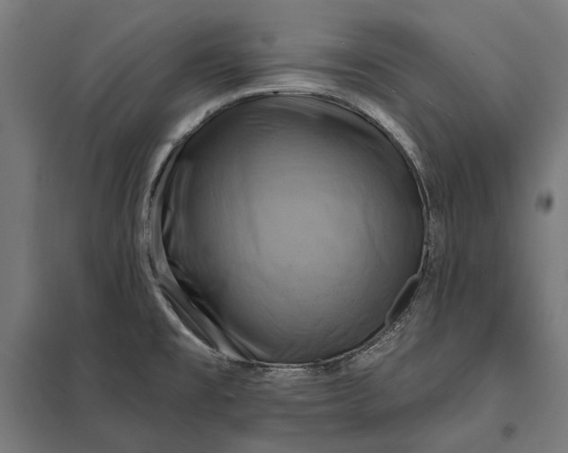 X0000097831477200803281149