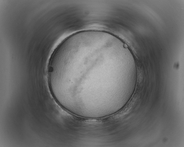 X0000097831478200803281149