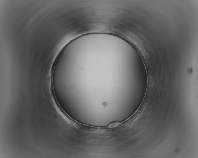 X0000097831479200803281149