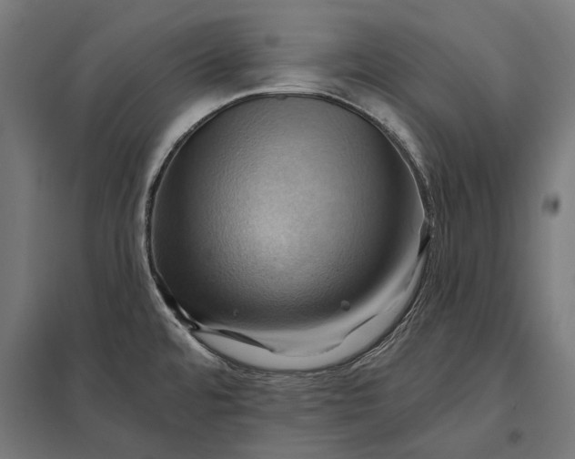 X0000097831480200803281149