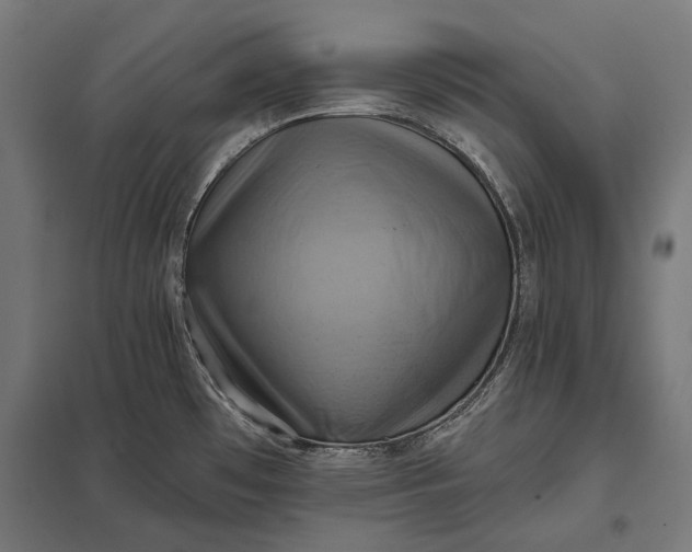 X0000097831481200803281149