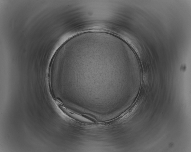 X0000097831482200803281149