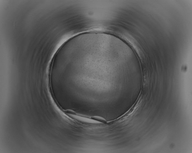 X0000097831483200803281149