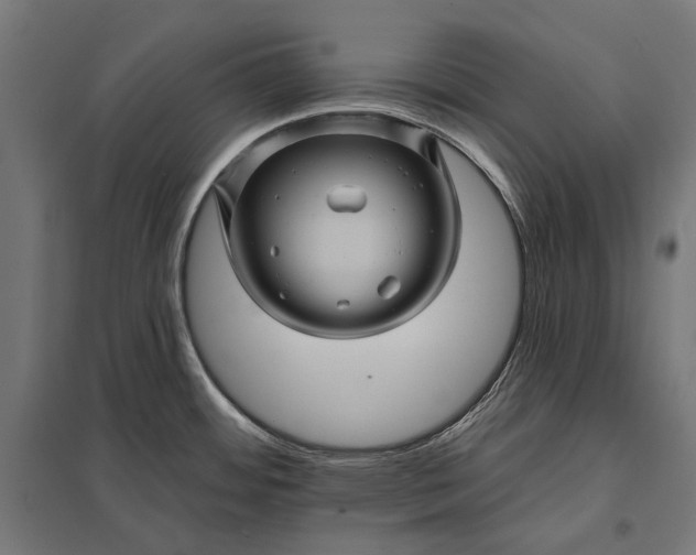 X0000097831484200803281149