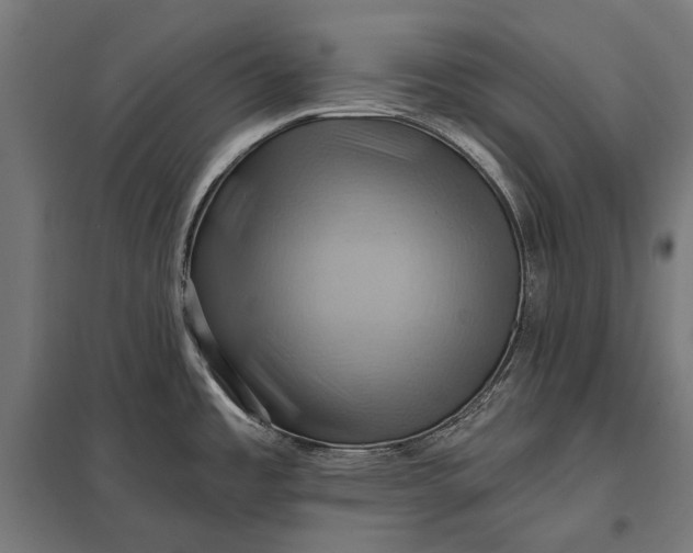 X0000097831485200803281149