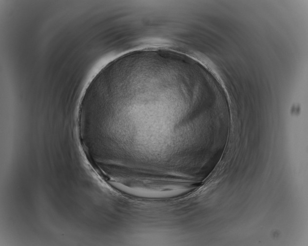 X0000097831488200803281149