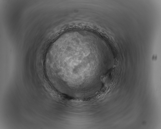 X0000097831489200803281148