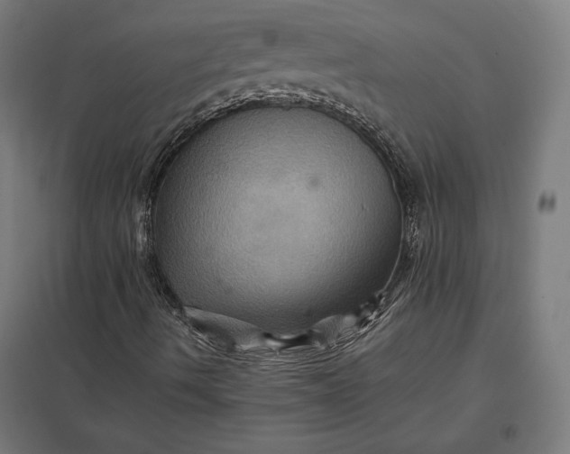 X0000097831490200803281148