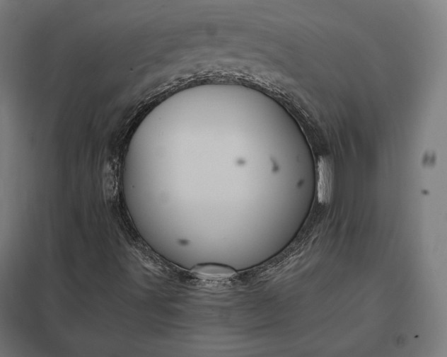 X0000097831491200803281148