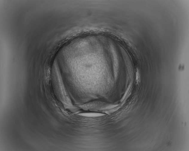 X0000097831492200803281148