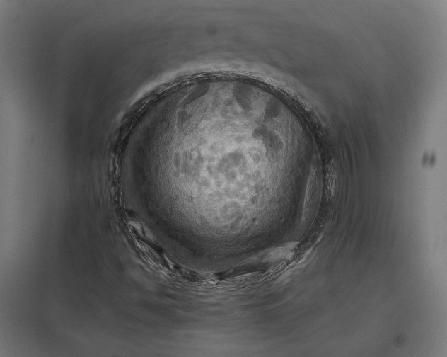 X0000097831494200803281148