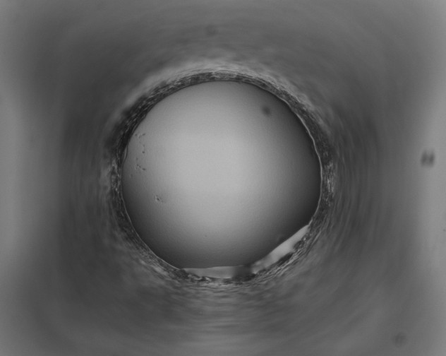 X0000097831495200803281148