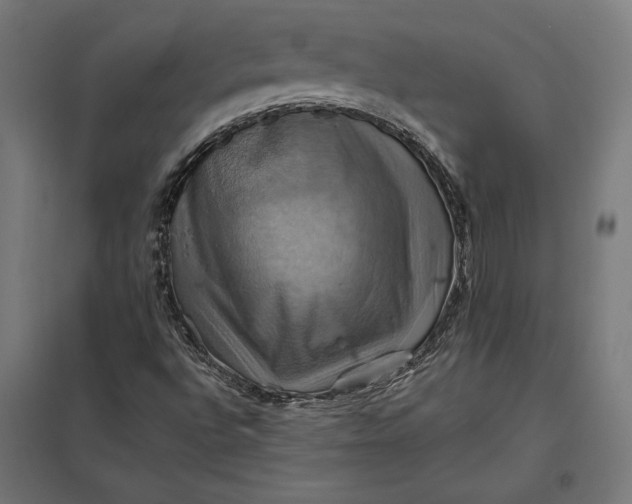 X0000097831496200803281148