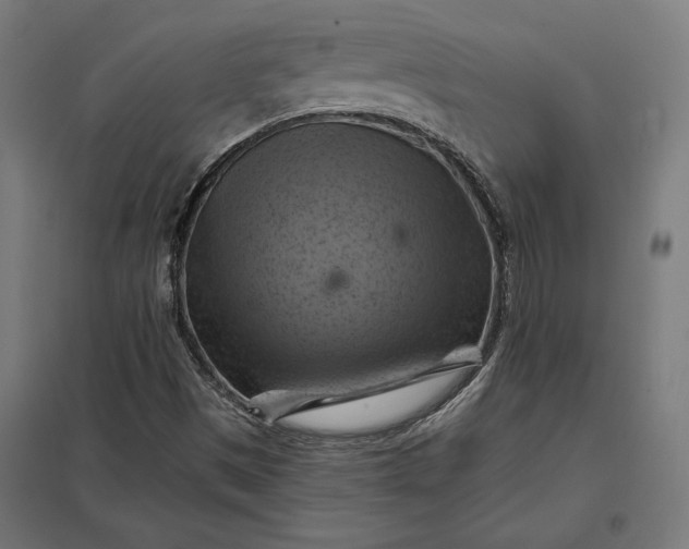 X0000097831497200803281148