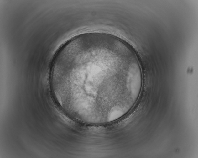 X0000097831498200803281148