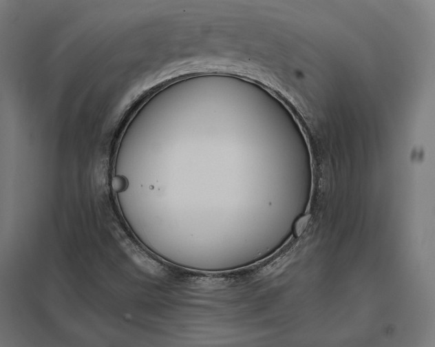 X0000097831499200803281148