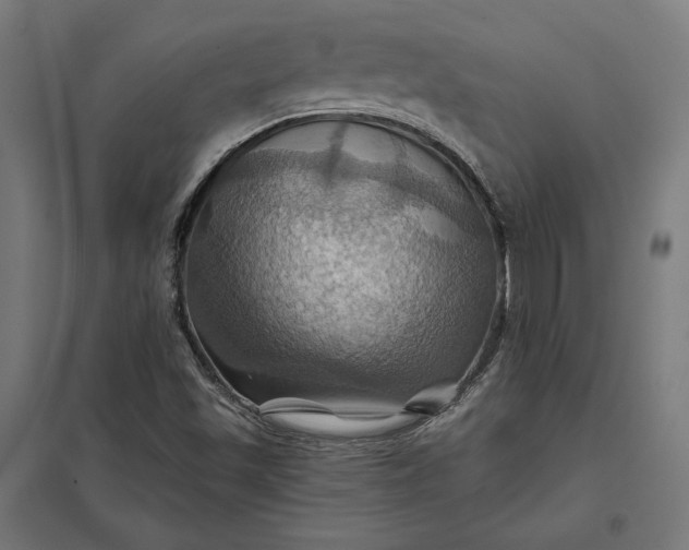 X0000097831501200803281148