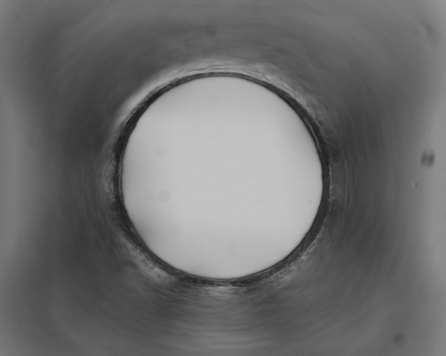 X0000097831502200803281148